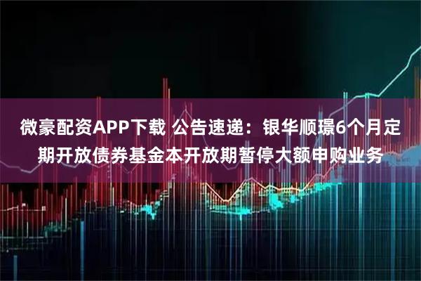 微豪配资APP下载 公告速递:银华顺璟6个月定期开放债券基金本开放期暂停大额申购业务
