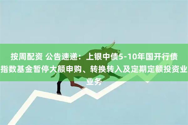 按周配资 公告速递：上银中债5-10年国开行债券指数基金暂停大额申购、转换转入及定期定额投资业务