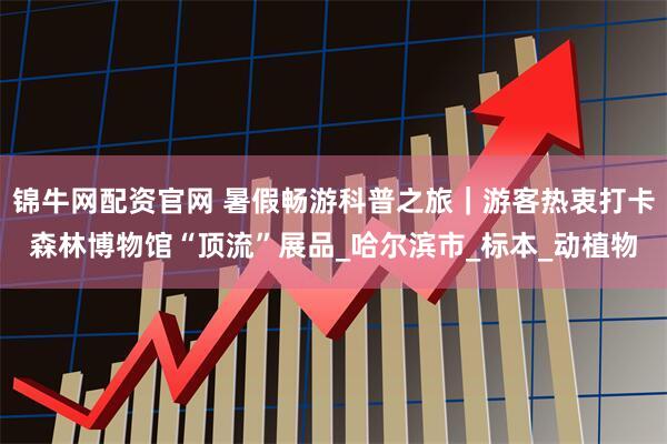 锦牛网配资官网 暑假畅游科普之旅｜游客热衷打卡森林博物馆“顶流”展品_哈尔滨市_标本_动植物