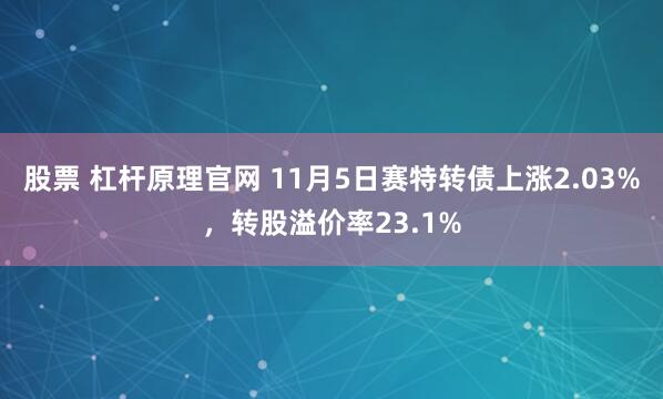 股票 杠杆原理官网 11月5日赛特转债上涨2.03%，转股溢价率23.1%