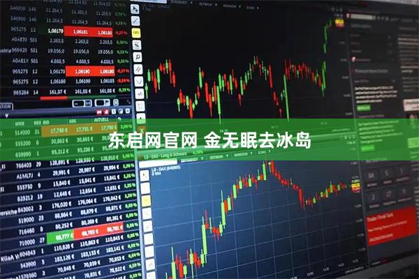 东启网官网 金无眠去冰岛