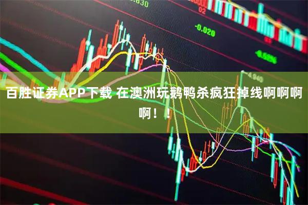 百胜证券APP下载 在澳洲玩鹅鸭杀疯狂掉线啊啊啊啊！！