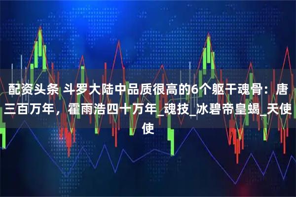配资头条 斗罗大陆中品质很高的6个躯干魂骨：唐三百万年，霍雨浩四十万年_魂技_冰碧帝皇蝎_天使