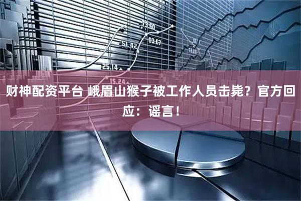 财神配资平台 峨眉山猴子被工作人员击毙？官方回应：谣言！